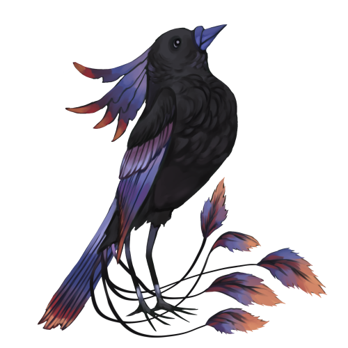 Sootbird